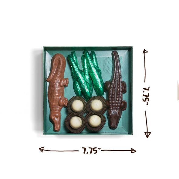 The Florida Alligator Chocolate Gift Box