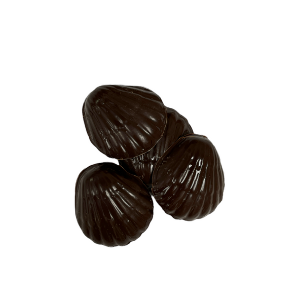 Chocolate Salted Seashells | 6oz